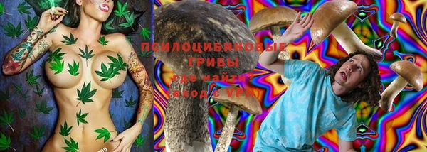 MDMA Белокуриха