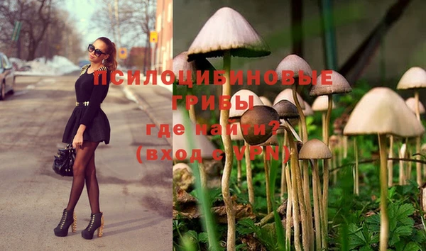 MDMA Белокуриха