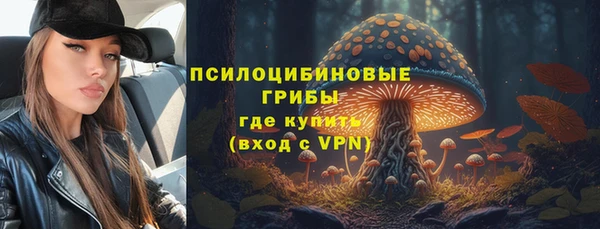 MDMA Белокуриха